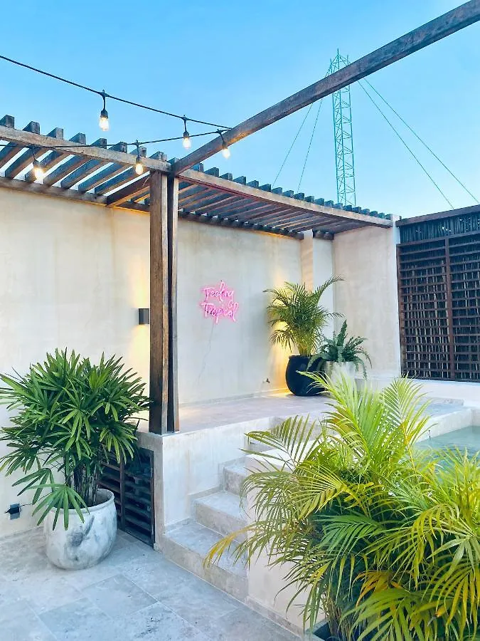 Apartment *Casa Tropical* Penthouse With Rooftop & Private Pool Mexico