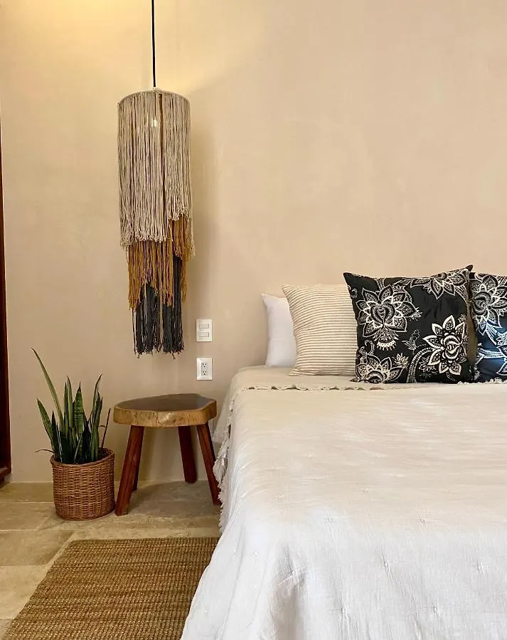 Apartment *Casa Tropical* Penthouse With Rooftop & Private Pool