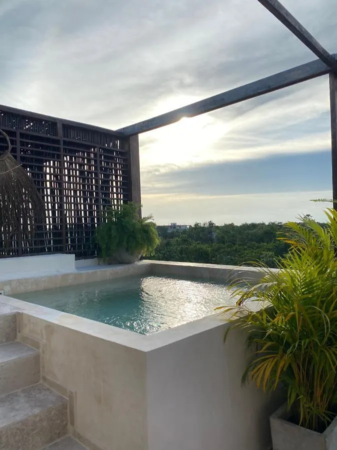 Apartment *Casa Tropical* Penthouse With Rooftop & Private Pool