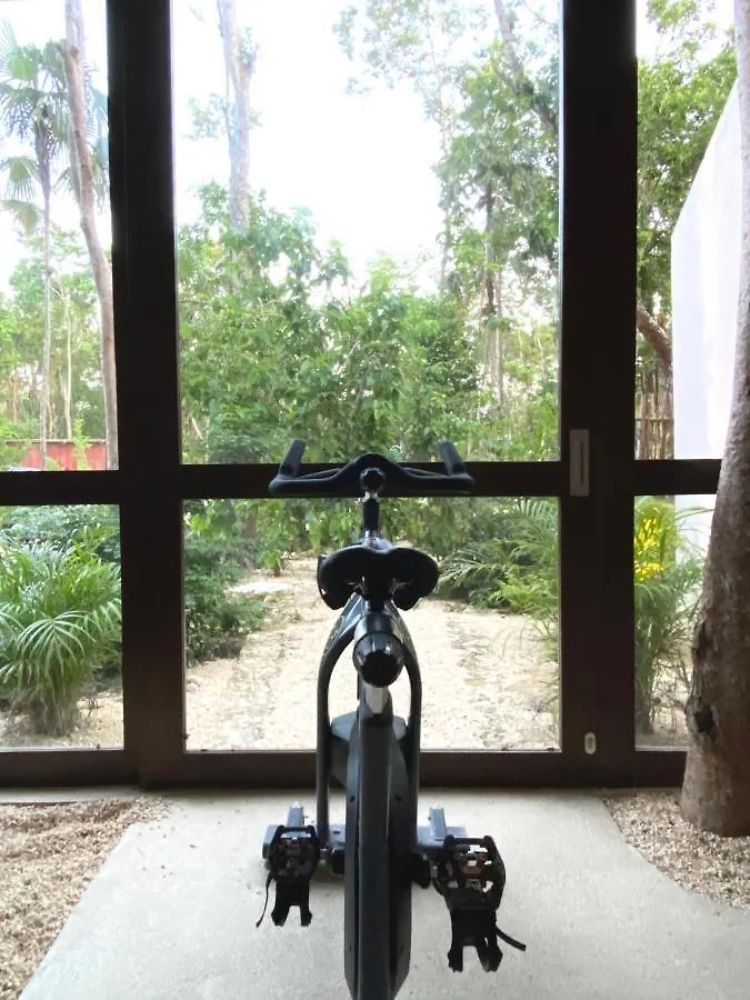 *Casa Tropical* Penthouse With Rooftop & Private Pool 0*, Tulum